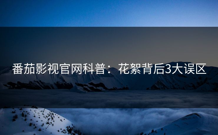 番茄影视官网科普：花絮背后3大误区