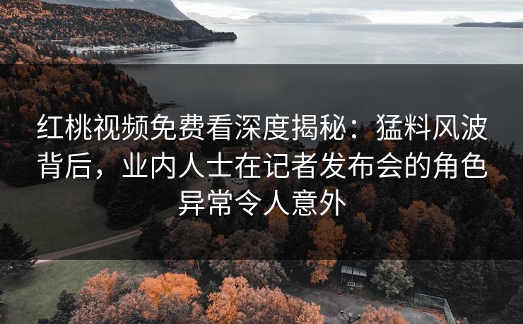 红桃视频免费看深度揭秘：猛料风波背后，业内人士在记者发布会的角色异常令人意外