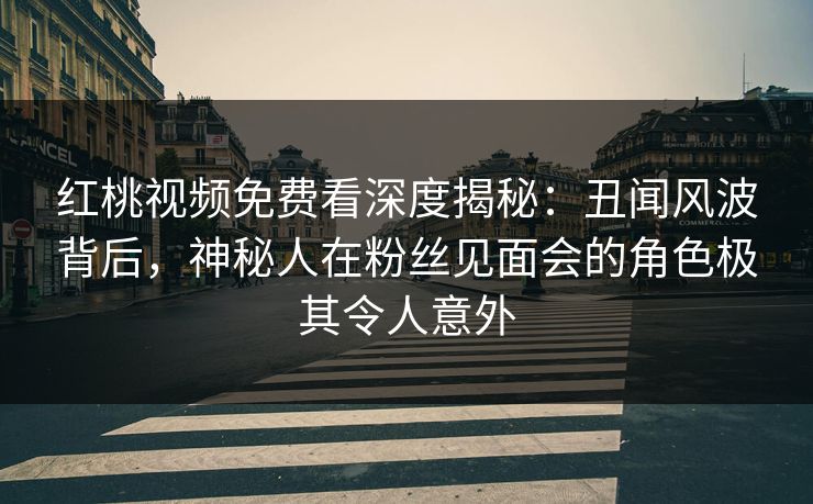红桃视频免费看深度揭秘：丑闻风波背后，神秘人在粉丝见面会的角色极其令人意外